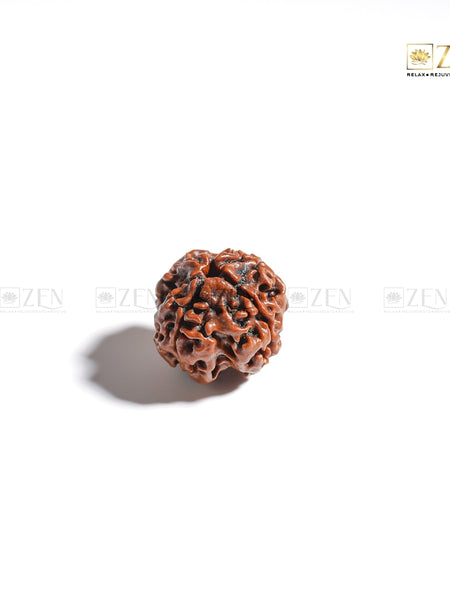 Four Mukhi Nepali Rudraksha | The Zen Crystals
