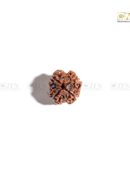 Original 4 Mukhi Nepali Rudraksha | The Zen Crystals