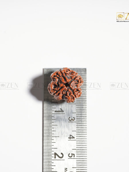 Real 4 Mukhi Nepali Rudraksha | The Zen Crystals