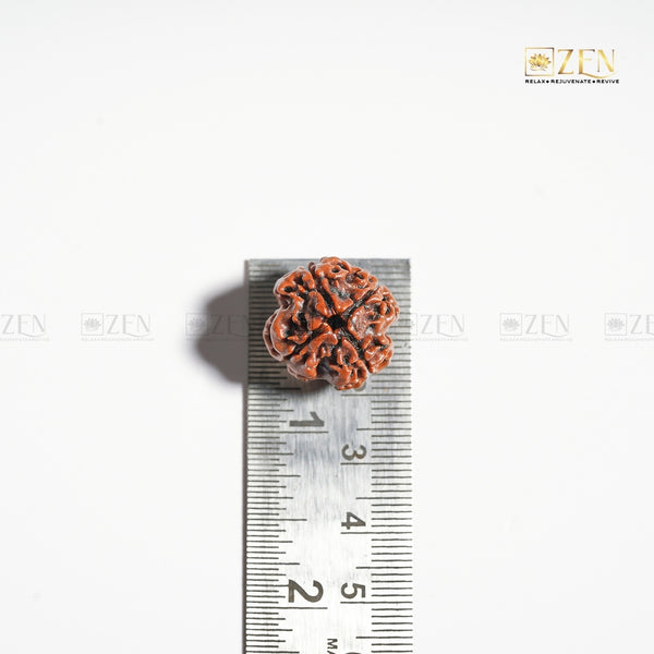 Real 4 Mukhi Nepali Rudraksha | The Zen Crystals