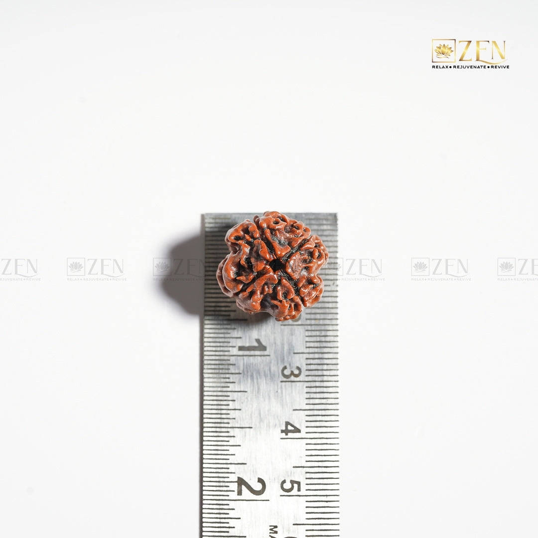 Real 4 Mukhi Nepali Rudraksha | The Zen Crystals