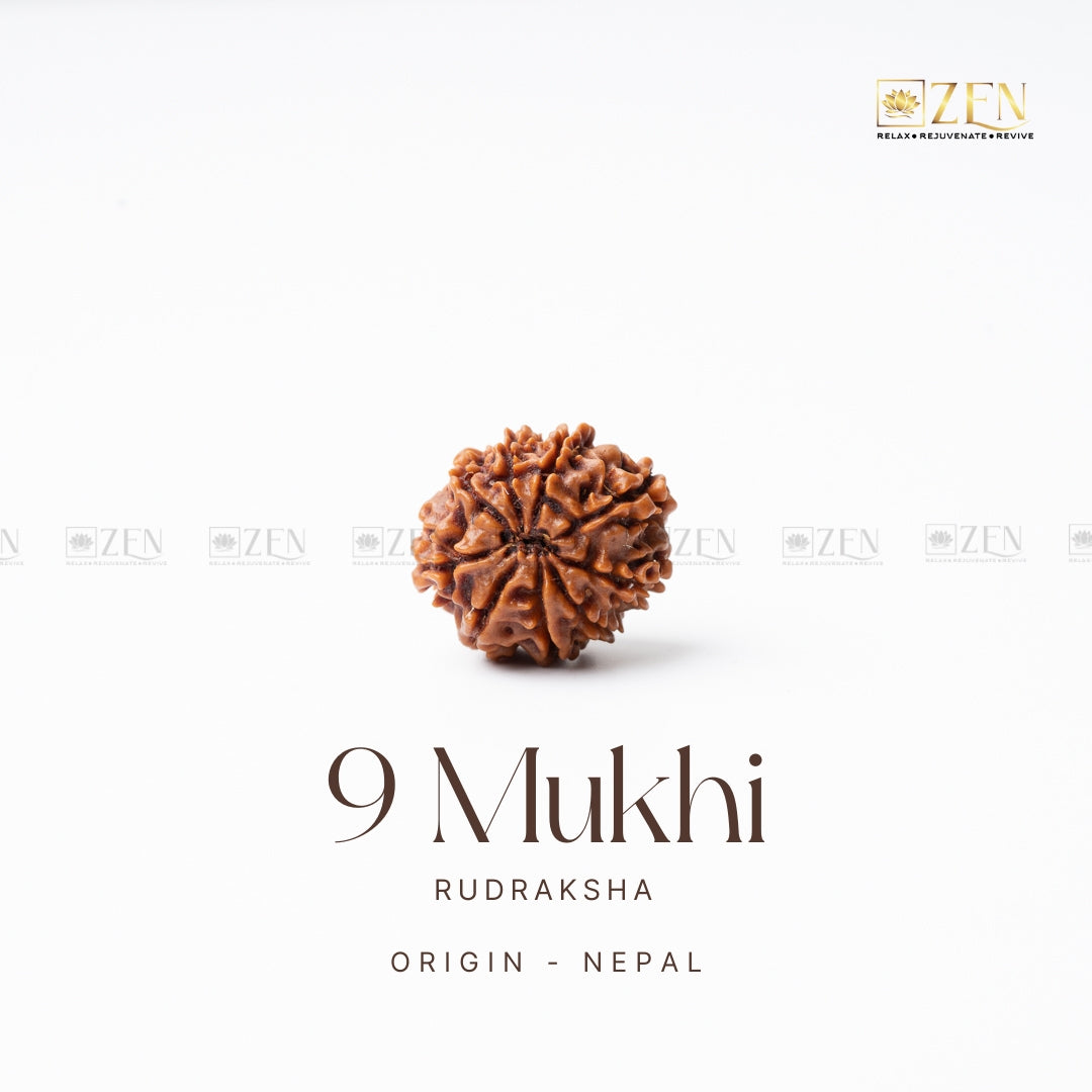 9 mukhi rudraksha | the zen crystals