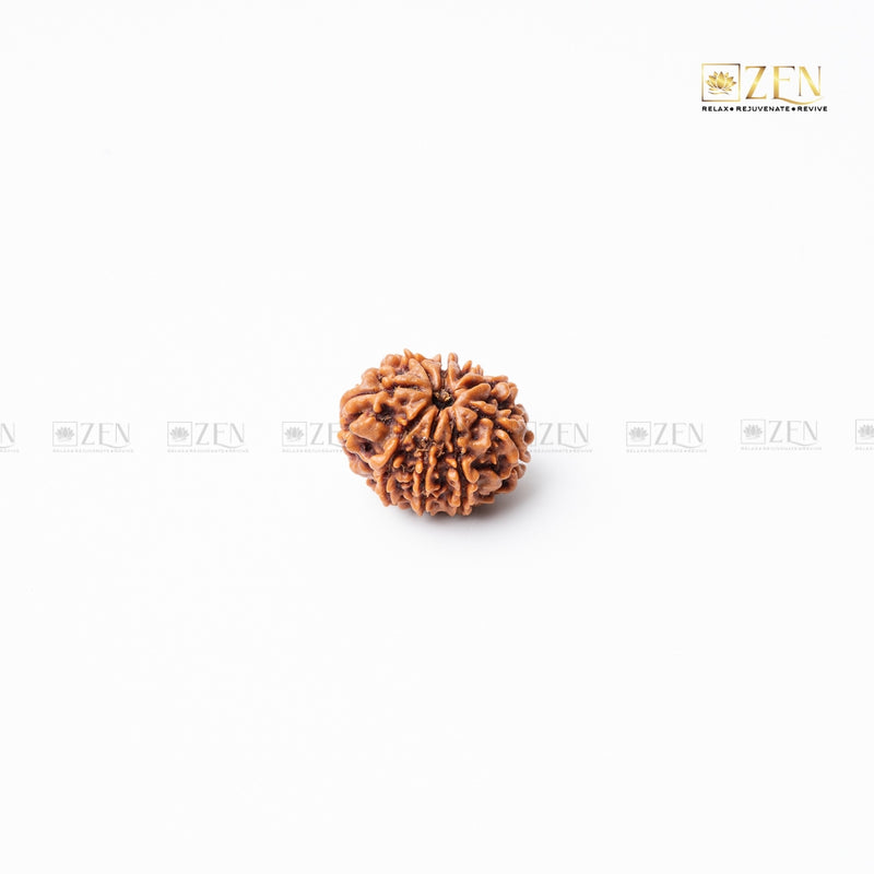9 mukhi nepali rudraksha | the zen crystals