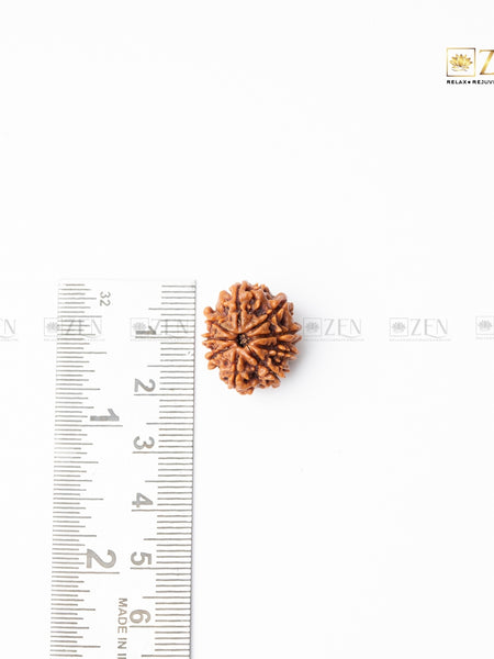 nine mukhi nepali rudraksha | the zen crystals