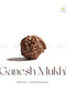 Ganesh Mukhi Rudraksha | The Zen Crystals