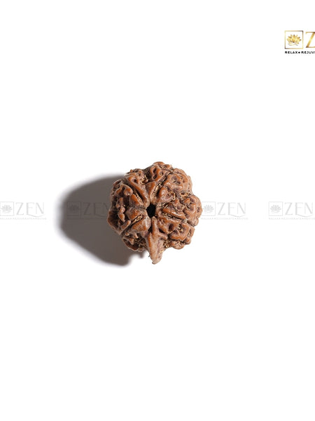 Real Ganesh Mukhi Rudraksha | The Zen Crystals