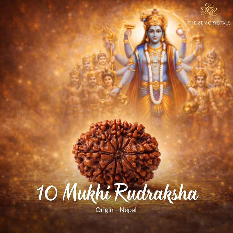 10 Mukhi Rudraksha with a divine figure in the background, branded 'The Zen Crystals'.