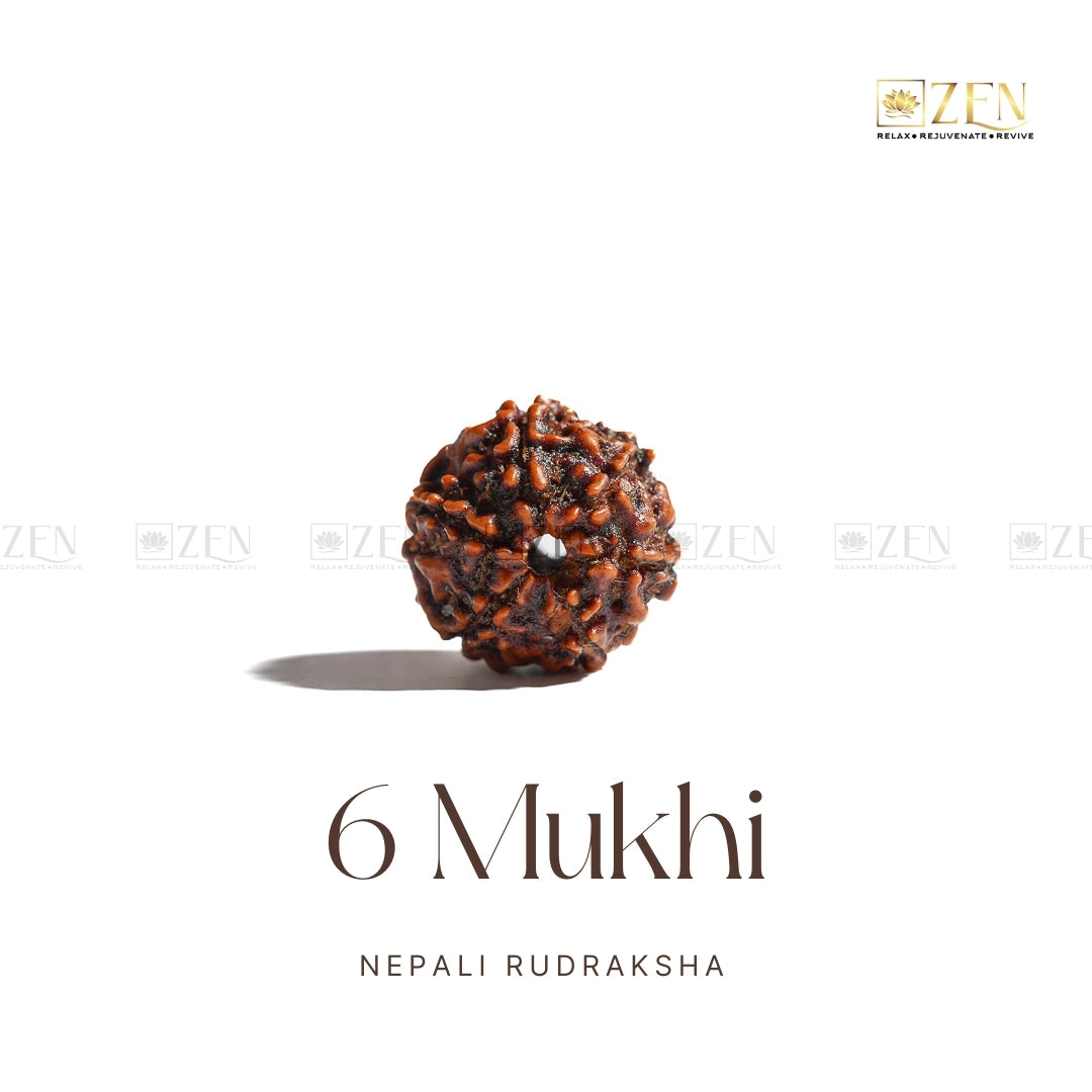 6 Mukhi Rudraksha | The Zen Crystals