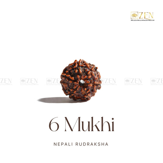 6 Mukhi Rudraksha | The Zen Crystals