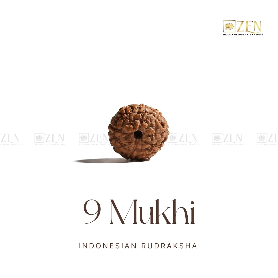 9 Mukhi Rudraksha (Indonesia) | The Zen Crystals