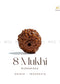 8 Mukhi Rudraksha - Indonesia