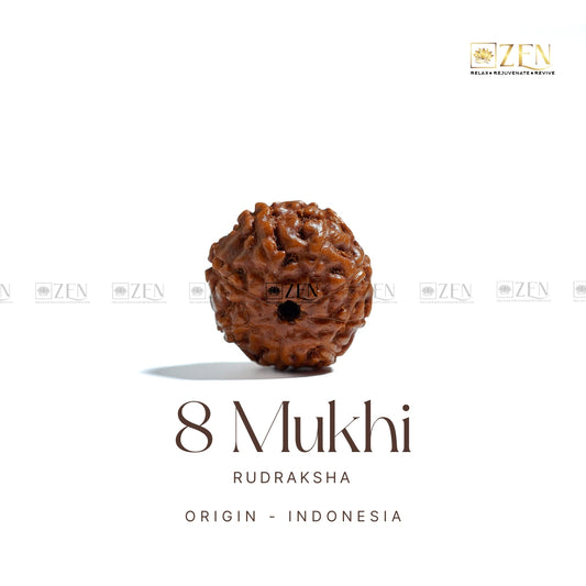 8 Mukhi Rudraksha - Indonesia