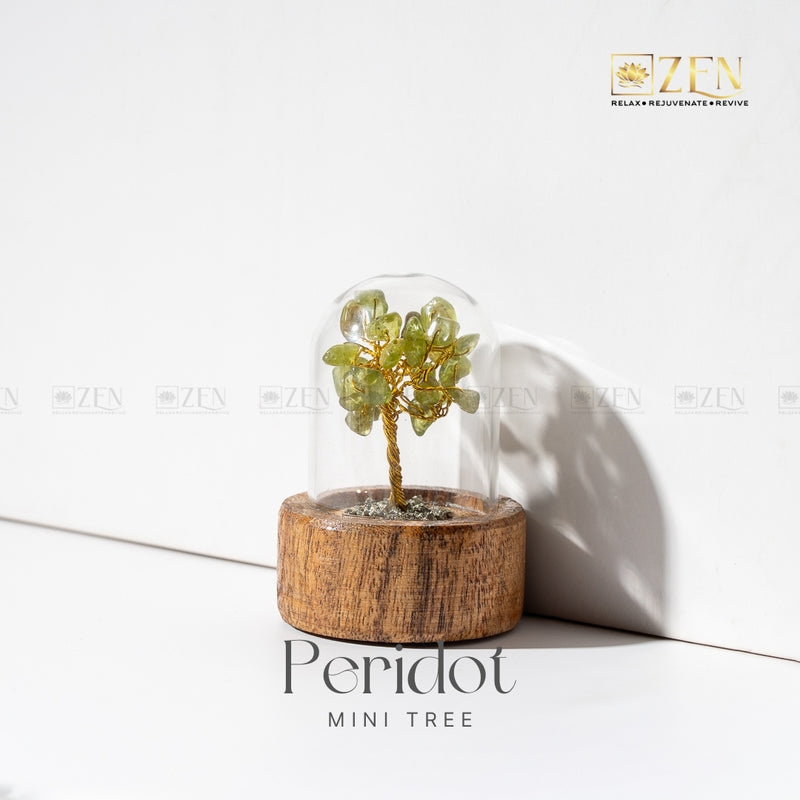 Peridot mini tree in a glass dome on a wooden base with 'Zen' brand logo.