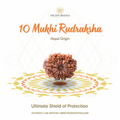10 Mukhi Rudraksha with branding and product description on a white background