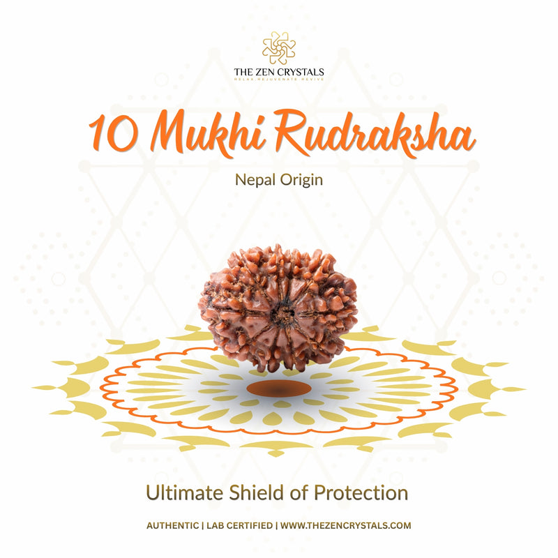 10 Mukhi Rudraksha with branding and product description on a white background