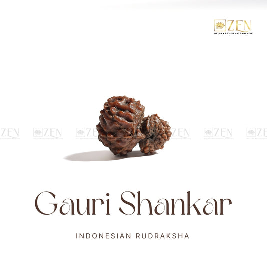 Gauri Shankar Rudraksha | The Zen Crystals