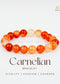 Carnelian 10mm Bracelet | The Zen Crystals
