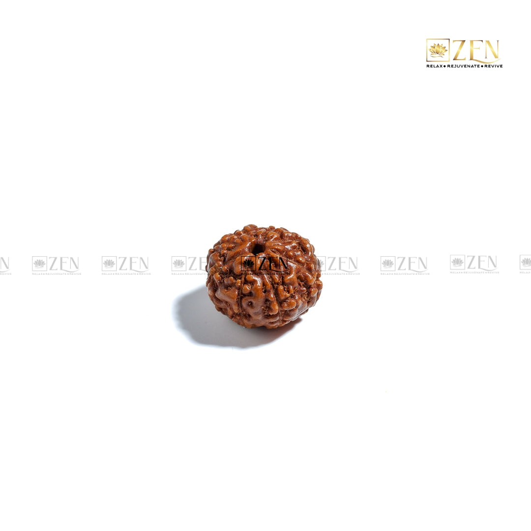 8 Mukhi Rudraksha - Indonesia