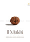 11 Mukhi Rudraksha (indonesia) | The Zen Crystals