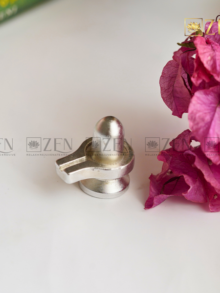 Parad Shivling | The Zen Crystals