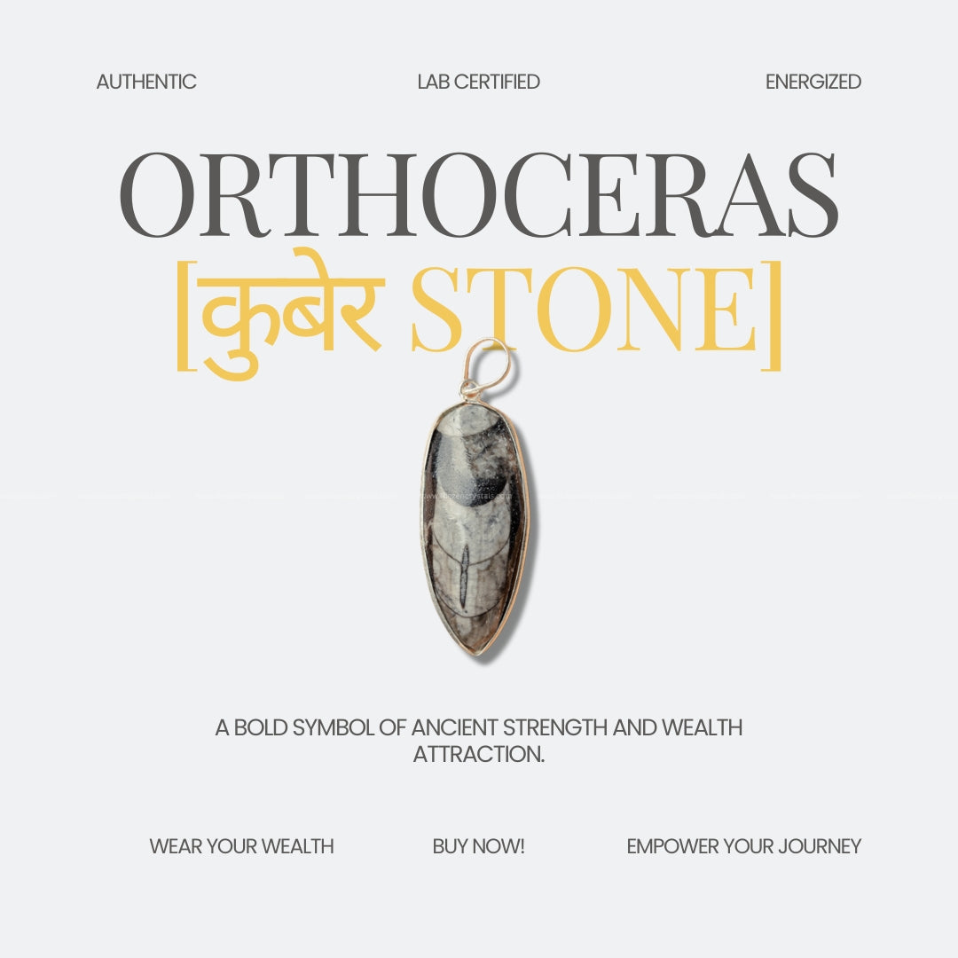 Orthoceras Kuber Stone Pendant – Grounding, Transformation, and