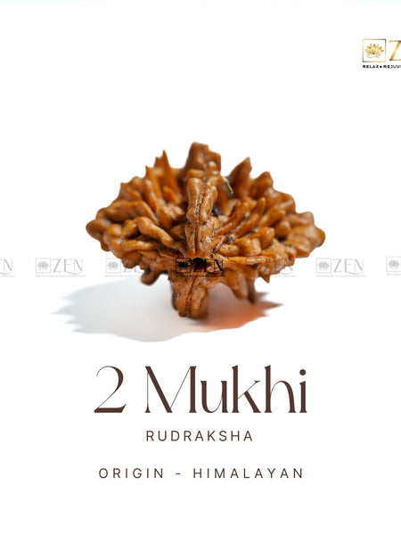 do mukhi rudraksha | the zen crystals