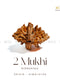 do mukhi rudraksha | the zen crystals