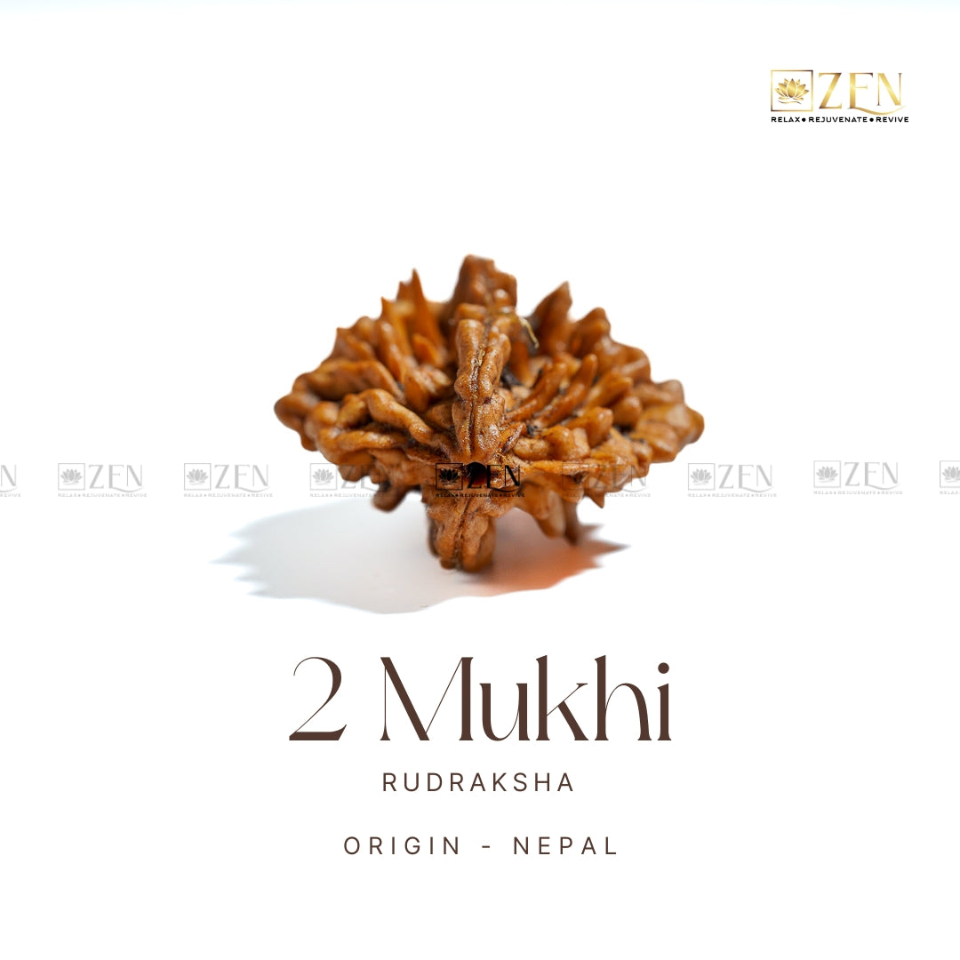 do mukhi rudraksha | the zen crystals