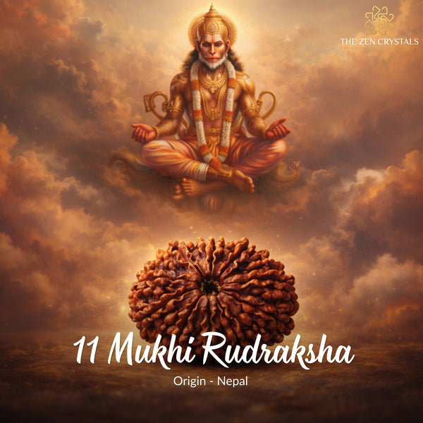 11 Mukhi Rudraksha with a divine figure in the clouds, featuring 'The Zen Crystals' brand.