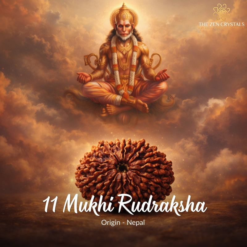 11 Mukhi Rudraksha with a divine figure in the clouds, featuring 'The Zen Crystals' brand.