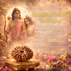benefits of 13 mukhi rudraksha