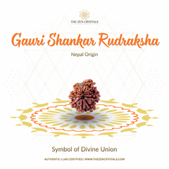 Gauri Shankar Rudraksha with decorative elements on a white background, featuring The Zen Crystals brand.