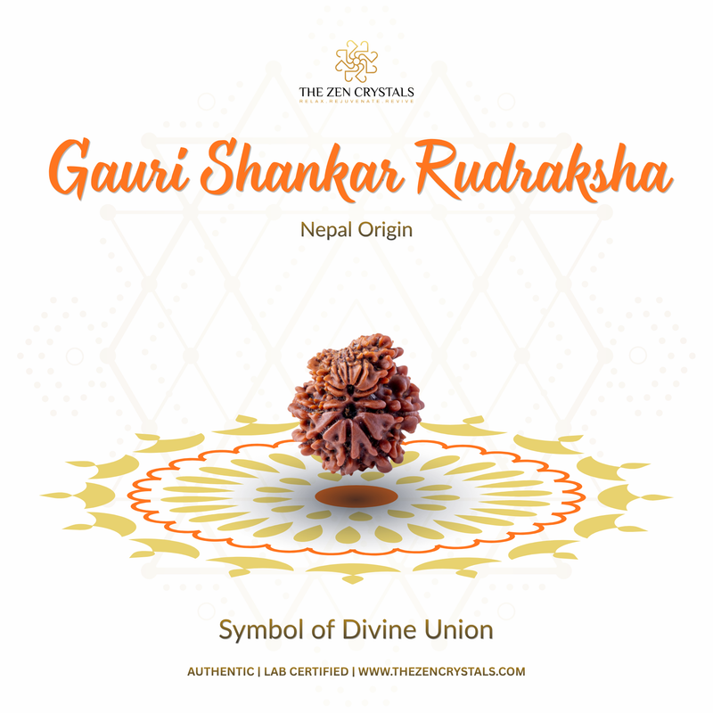 Gauri Shankar Rudraksha with decorative elements on a white background, featuring The Zen Crystals brand.