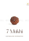 7 Mukhi Rudraksha | The Zen Crystals