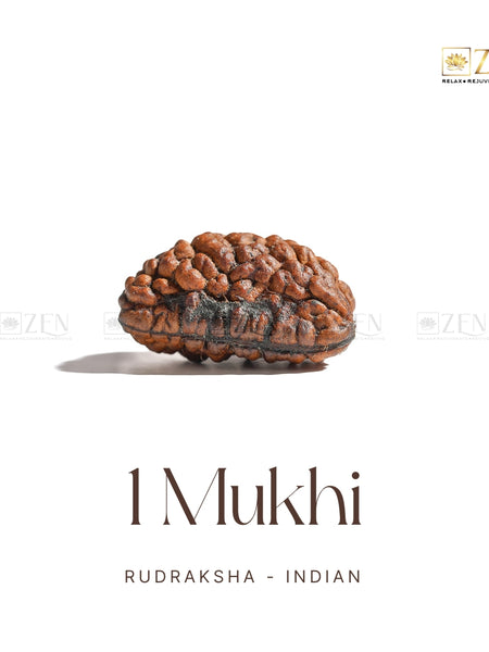 1 Mukhi Rudraksha (Himalayan)