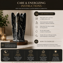 Instructions for caring and energizing an Orthoceras cluster on a neutral background.