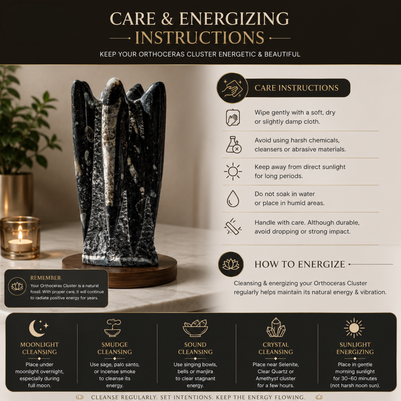 Instructions for caring and energizing an Orthoceras cluster on a neutral background.