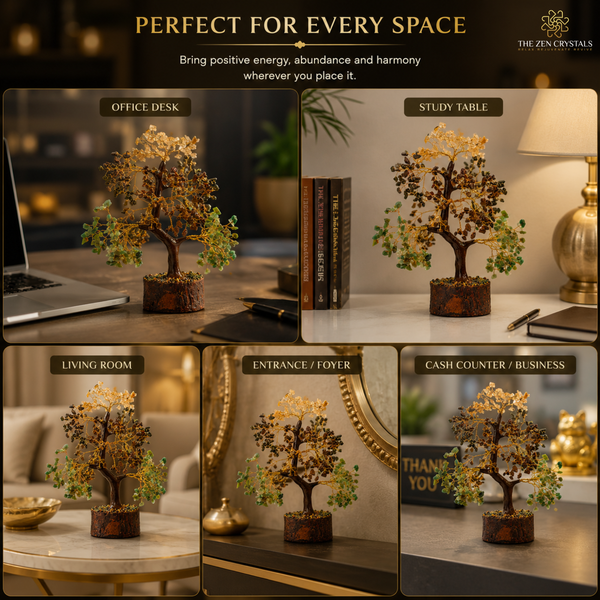 where to place the money magnet tree