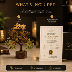 certified money magnet tree 